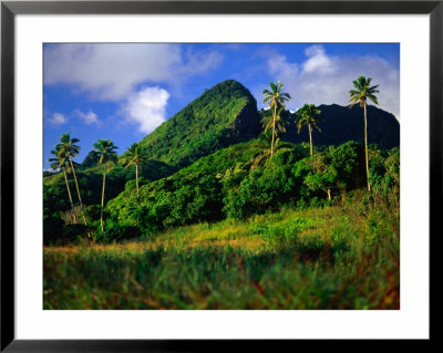 Palm Trees And Dense Jungle Peaks, Rarotonga, Southern Group, Cook Islands by Peter Hendrie Pricing Limited Edition Print image