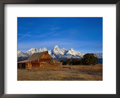 Shanes Barn, Grand Teton National Park, Wy by Elizabeth Delaney Pricing Limited Edition Print image