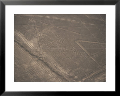 Spider, Nazca (Nasca) Lines, Unesco World Heritage Site, Peru, South America by Jane Sweeney Pricing Limited Edition Print image