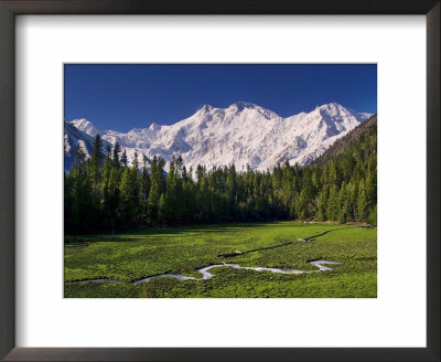 Nanga Parbat, From Fairy Meadows, Diamir District, Pakistan by Michele Falzone Pricing Limited Edition Print image