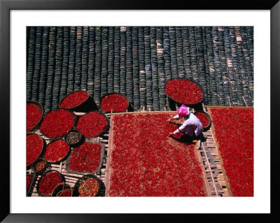 Zhuang Girl Drying Red Peppers On The Roof Of Her House, Long Ji, China by Keren Su Pricing Limited Edition Print image