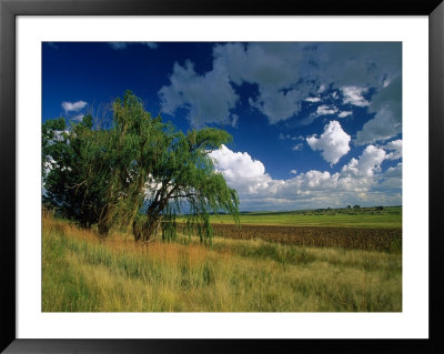 Eastern Highlands, South Africa by Walter Bibikow Pricing Limited Edition Print image
