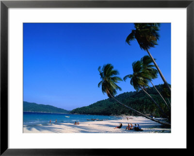 Palm Trees On Long Beach, Pulau Perhentian Kecil, Malaysia by Anders Blomqvist Pricing Limited Edition Print image