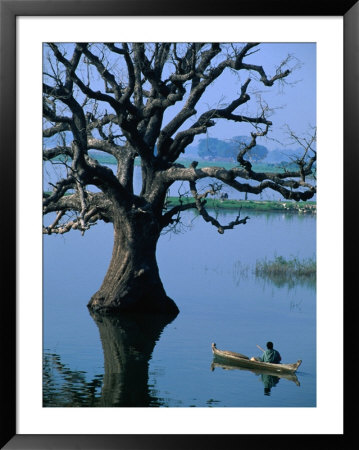 Boat Rowing Past Half-Submerged Tree In River Of Amarapura, Amarapura, Mandalay, Myanmar (Burma) by Anders Blomqvist Pricing Limited Edition Print image