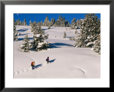 Two Hikers Snowshoeing In Fresh Powder by Rich Reid Pricing Limited Edition Print image