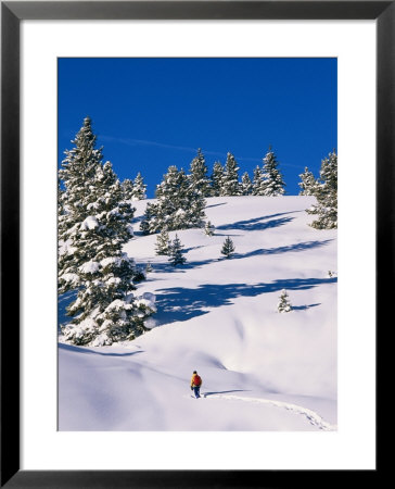 A Hiker Snowshoeing Along A Trail In Fresh Powder by Rich Reid Pricing Limited Edition Print image