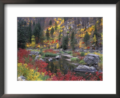 Wenatchee River And Fall Color, Tumwater Canyon, Washington, Usa by Jamie & Judy Wild Pricing Limited Edition Print image