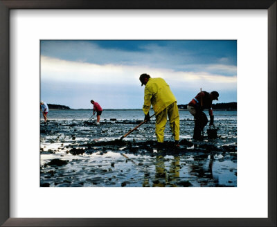 Residents Raking Mud For Shellfish At Indian Neck Beach, Cape Cod, United States Of America by Jeff Greenberg Pricing Limited Edition Print image