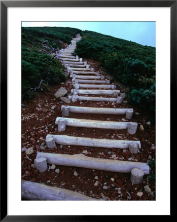 Wooden Steps On Mt. Hakkoda-San Hiking Trail In Aomori-Ken, Mt. Hakkoda-San, Japan by Mason Florence Pricing Limited Edition Print image