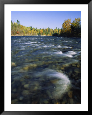 Scenic View Of The Adams River by Paul Nicklen Pricing Limited Edition Print image