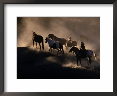 Cowboy Rounding Up Horses, Oregon by Michele Burgess Pricing Limited Edition Print image