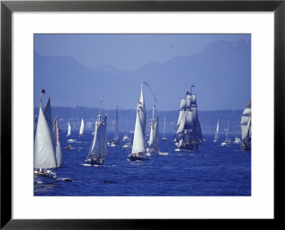 2002 Tall Ships Festival In Elliott Bay, Seattle, Washington, Usa by William Sutton Pricing Limited Edition Print image