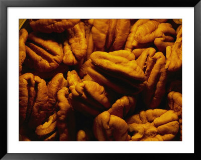 Close View Of Shelled Pecans In Warm Light by Brian Gordon Green Pricing Limited Edition Print image