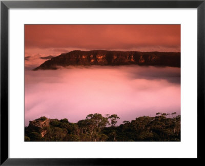 Early Morning Mist In Megalong Valley Blue Mountains National Park, New South Wales, Australia by Barnett Ross Pricing Limited Edition Print image