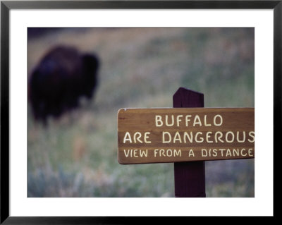 Theodore Roosevelt National Park, Nd by Stephen Saks Pricing Limited Edition Print image