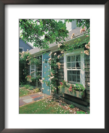 Summer Flower, Doorway, Nantucket, Ma by Walter Bibikow Pricing Limited Edition Print image