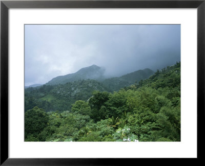 A Storm Moves In Over A Tropical Rain Forest Canopy by Taylor S. Kennedy Pricing Limited Edition Print image