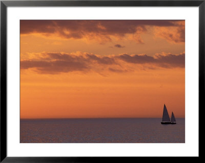 Naples, Florida, Usa by Nik Wheeler Pricing Limited Edition Print image