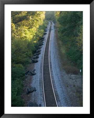 Railroad Tracks Cut Through The Kansas City Zoo by Joel Sartore Pricing Limited Edition Print image