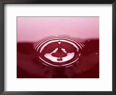 Water Drop In Red Puddle by Arnie Rosner Pricing Limited Edition Print image
