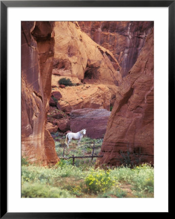 Red Rock, White Horse, White Mountains, Canyon De Chelly, Arizona, Usa by Nancy Rotenberg Pricing Limited Edition Print image