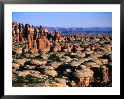 Elephant Canyon And The Needles Rock Formations, Canyonlands National Park, Usa by John Elk Iii Pricing Limited Edition Print image