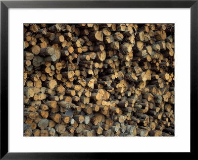 Logs At The J Paul Levesque Saw-Mill, Maine, Usa by Jerry & Marcy Monkman Pricing Limited Edition Print image
