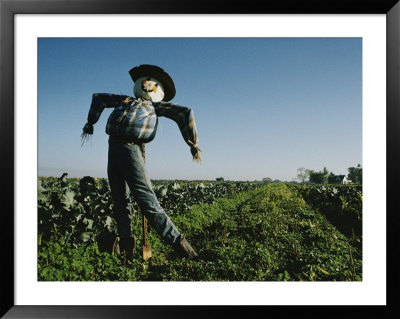 A Smiling Scarecrow Stands Guard Over Pumpkin Fields by Stephen St. John Pricing Limited Edition Print image