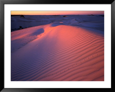 Sand Dunes, Nambung National Park, Western Australia, Australia by Rob Blakers Pricing Limited Edition Print image