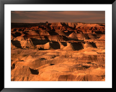 Little Painted Desert County Park, Arizona, Usa by Mark Newman Pricing Limited Edition Print image