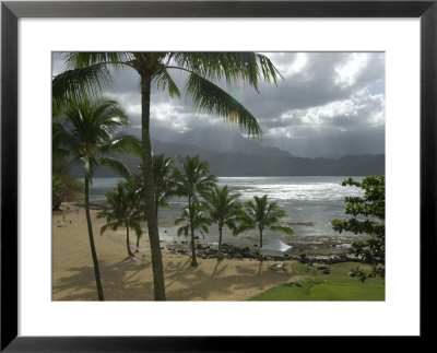 Palm Trees, Kaui, Hawaii by Keith Levit Pricing Limited Edition Print image
