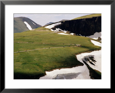 Trail Ridge Road Winding Across Plateau, Rocky Mountain National Park, U.S.A. by Curtis Martin Pricing Limited Edition Print image