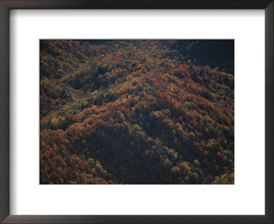 Aerial View Of The Great Smoky Mountains With Autumn Foliage by Randy Olson Pricing Limited Edition Print image
