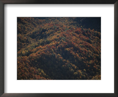 Aerial View Of The Great Smoky Mountains With Autumn Foliage by Randy Olson Pricing Limited Edition Print image