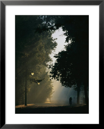 A Bicyclist Travels Down An Empty Street On A Misty Morning by Raul Touzon Pricing Limited Edition Print image