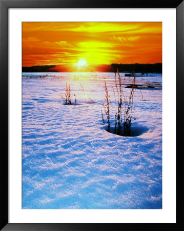 Catskills, Ny, Snow Sunset by Rudi Von Briel Pricing Limited Edition Print image