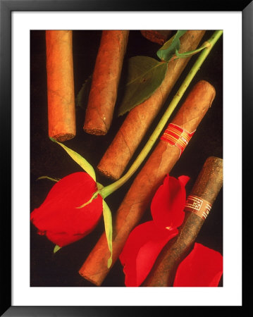 Cigars Withred Rose And Petals by Rudi Von Briel Pricing Limited Edition Print image