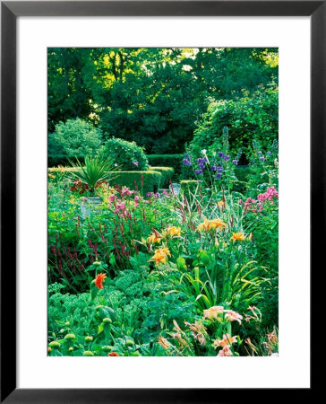 Large Cottage Style Garden, With Colourful Herbaceous Borders by Lynn Keddie Pricing Limited Edition Print image