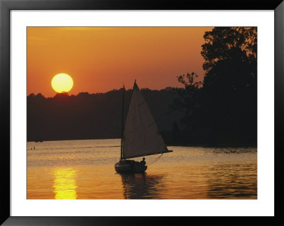 Gaff-Rigged Catboat Sails Along The Shoreline At Sunset by Skip Brown Pricing Limited Edition Print image