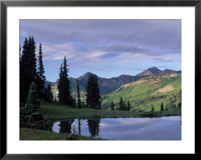 Sky And Tree Reflected In River, Gunnison Nf, Co by Don Grall Pricing Limited Edition Print image