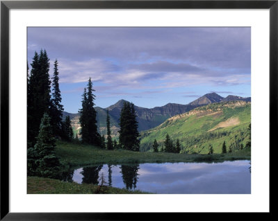 Sky And Tree Reflected In River, Gunnison Nf, Co by Don Grall Pricing Limited Edition Print image