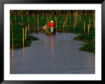 Flora And People Of The Mekong Delta, An Giang, Vietnam by John Banagan Pricing Limited Edition Print image