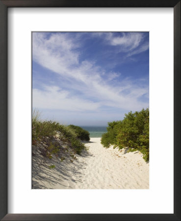 Lambert's Cove Beach, North Tisbury, Martha's Vineyard, Massachusetts, Usa by Walter Bibikow Pricing Limited Edition Print image