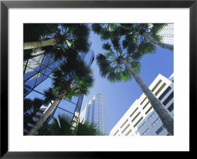 Tampa, Florida, Usa by Ruth Tomlinson Pricing Limited Edition Print image