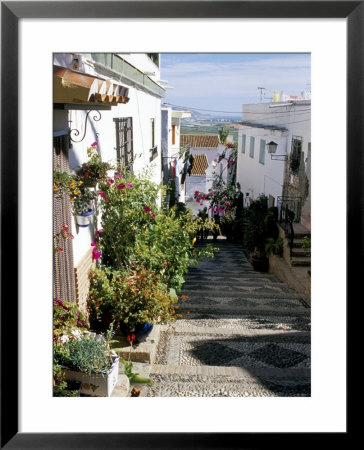 Narrow Street Filled With Flowers And Plants, Salobrena, Andalucia (Andalusia), Spain by Marco Simoni Pricing Limited Edition Print image