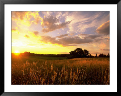 Sunset Over Salt Marsh, Essex, Ma by Kindra Clineff Pricing Limited Edition Print image