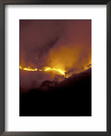 Forest Fire, Gombe National Park, Tanzania by Kristin Mosher Pricing Limited Edition Print image