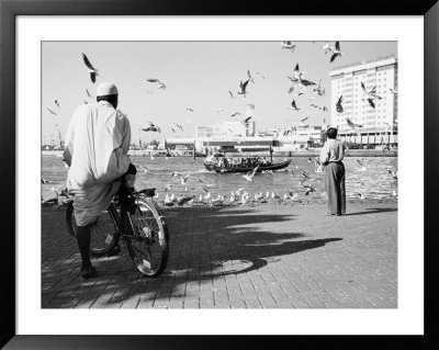 Birds And Watcher, Dubai Creek, Dubai by Walter Bibikow Pricing Limited Edition Print image