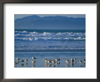 Pismo Beach, California, Usa by Nik Wheeler Pricing Limited Edition Print image