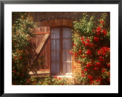 House With Summer Roses In Bloom, Vaucluse, France by Walter Bibikow Pricing Limited Edition Print image